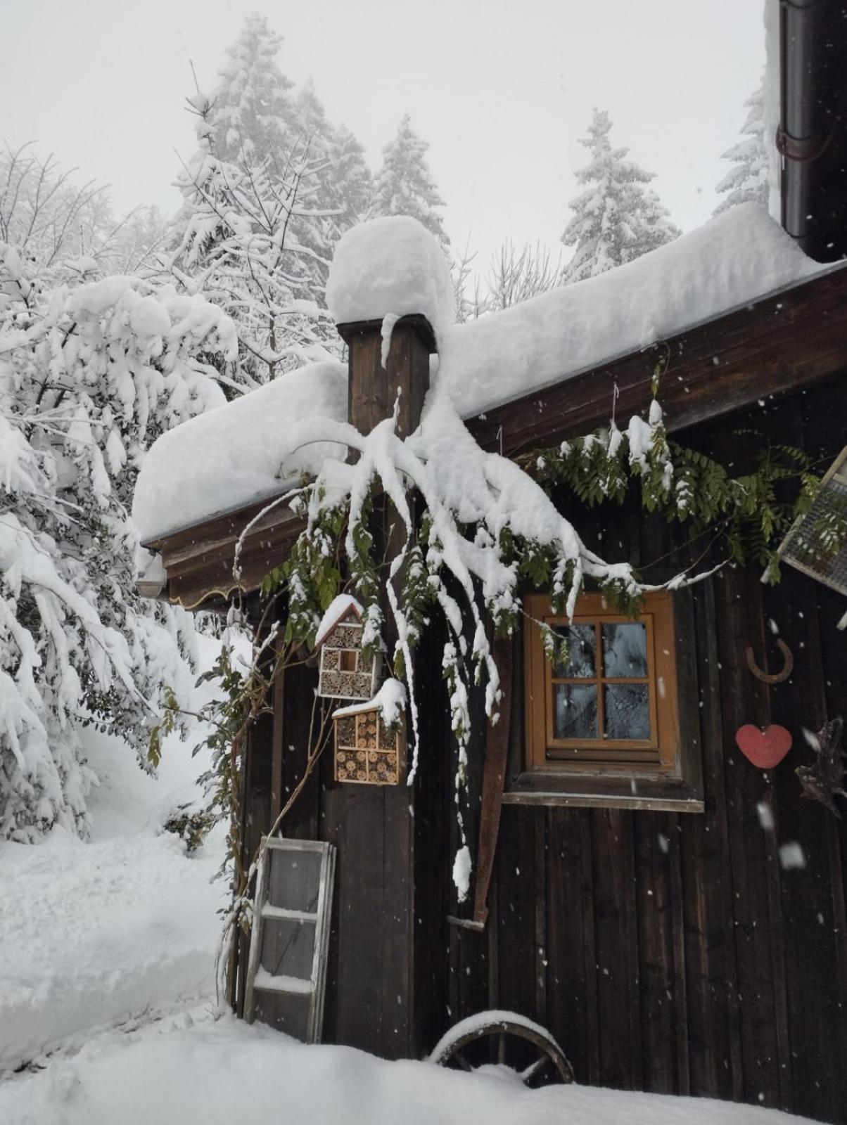 Binderhaeusl Thiersee Exterior foto